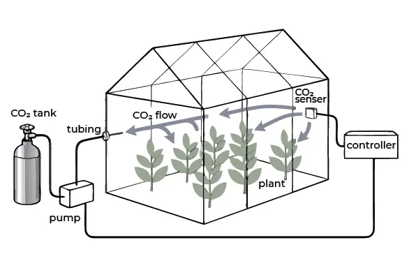CO₂ Enrichment Systems
