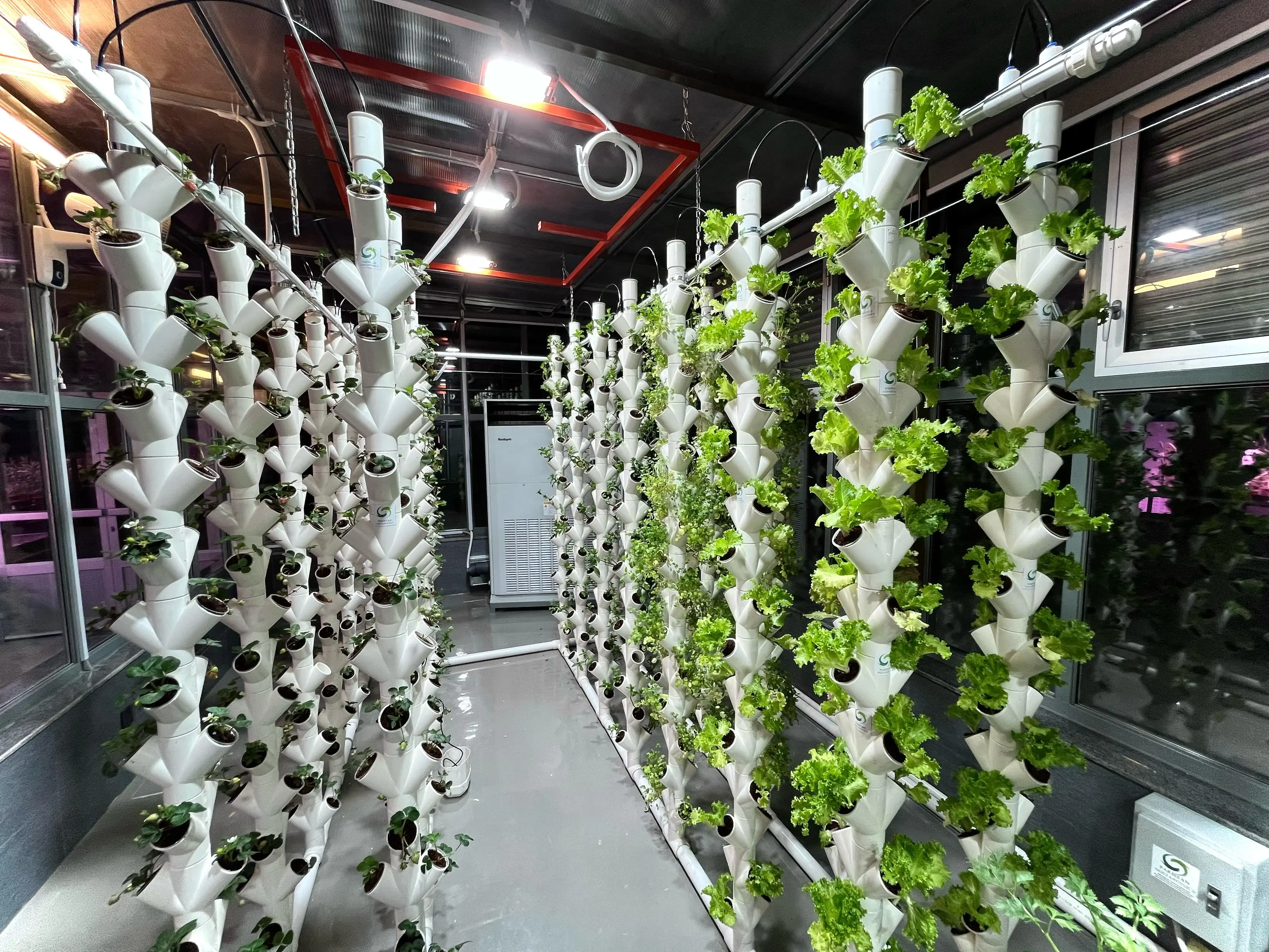 Vertical Farming