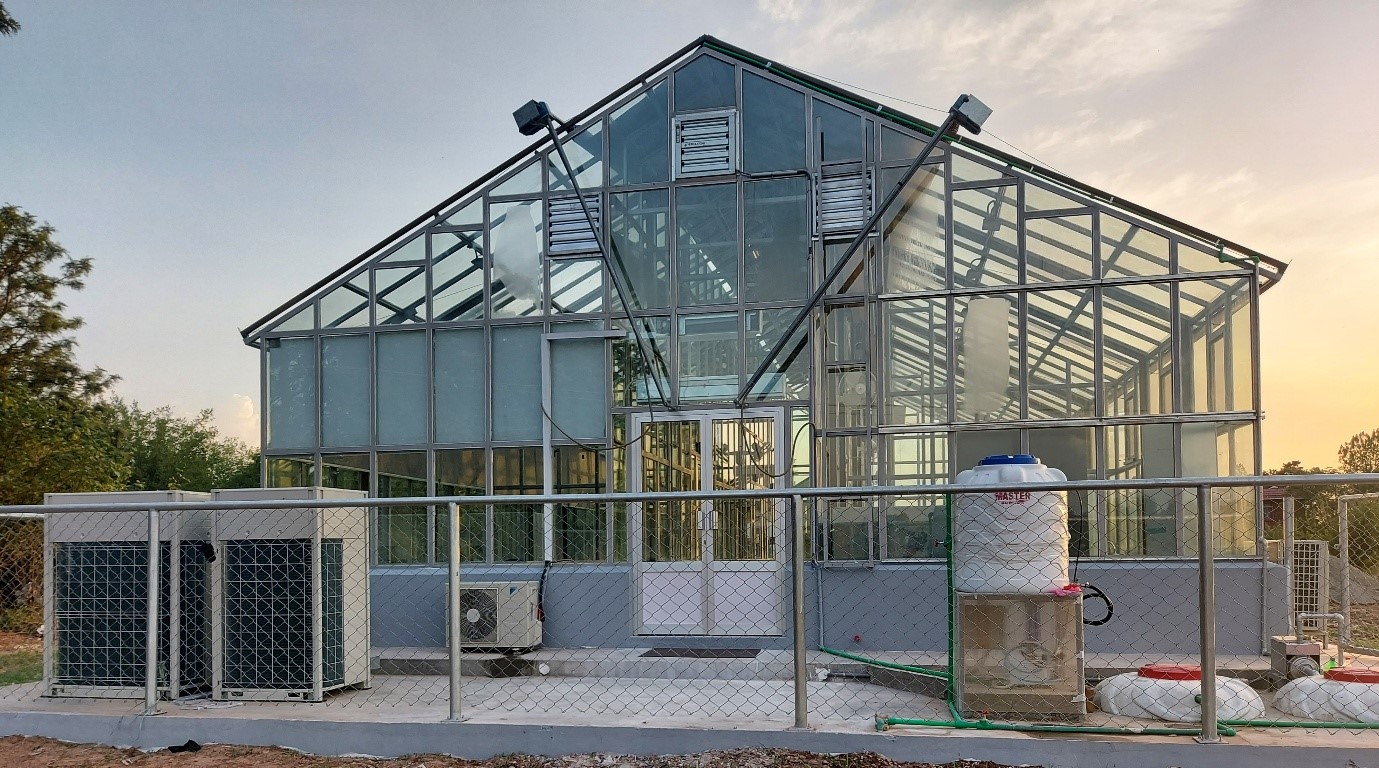 Hydroponic Setup