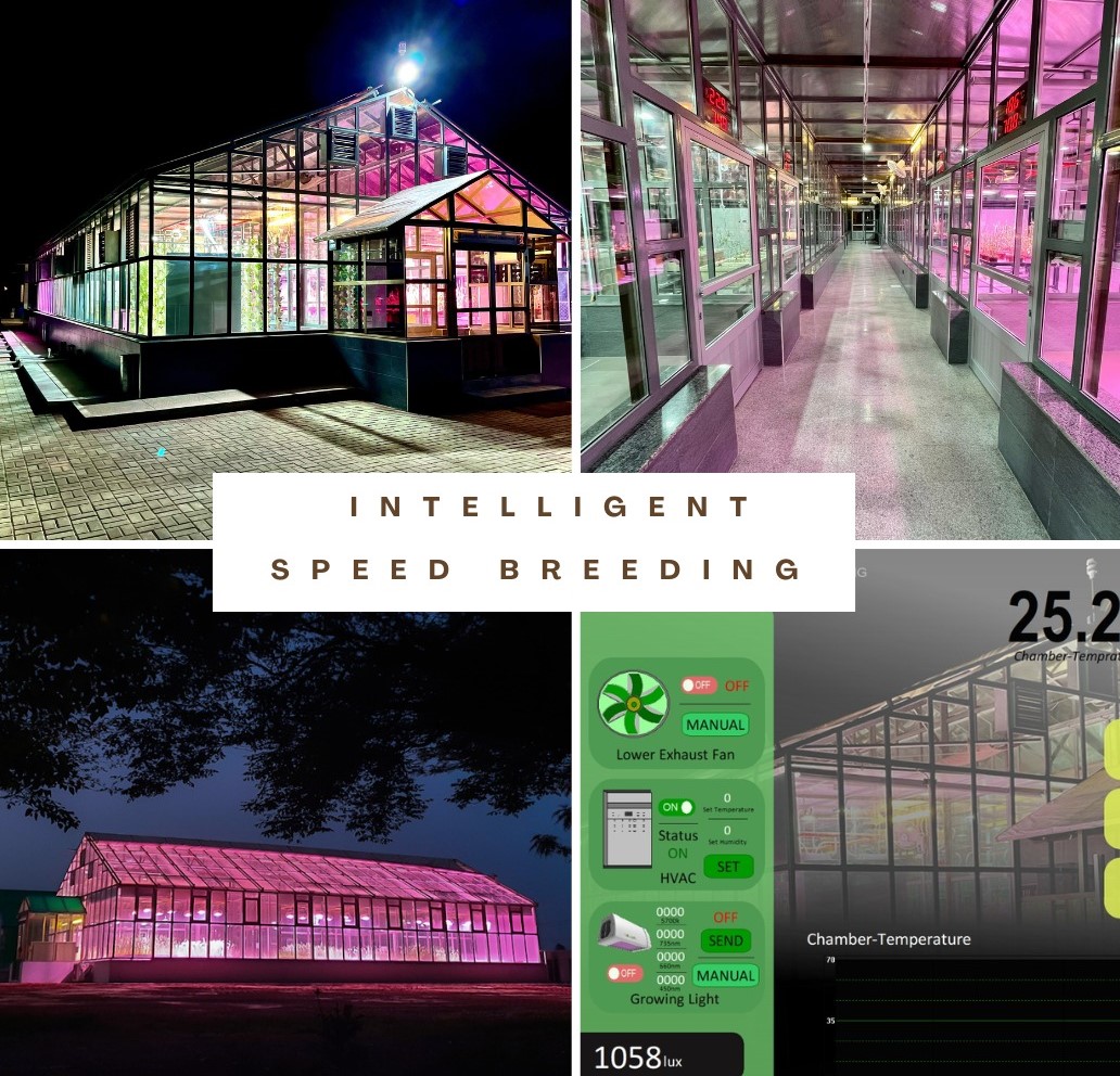 Customized Solutions