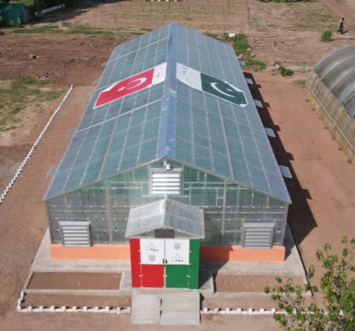 Greenhouse 6