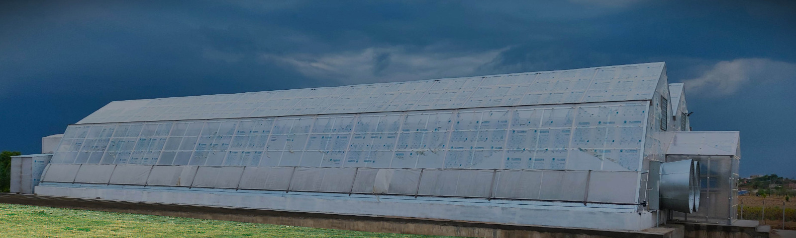 Greenhouse 3