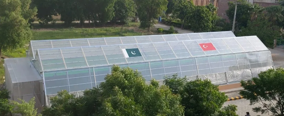 Greenhouse 3