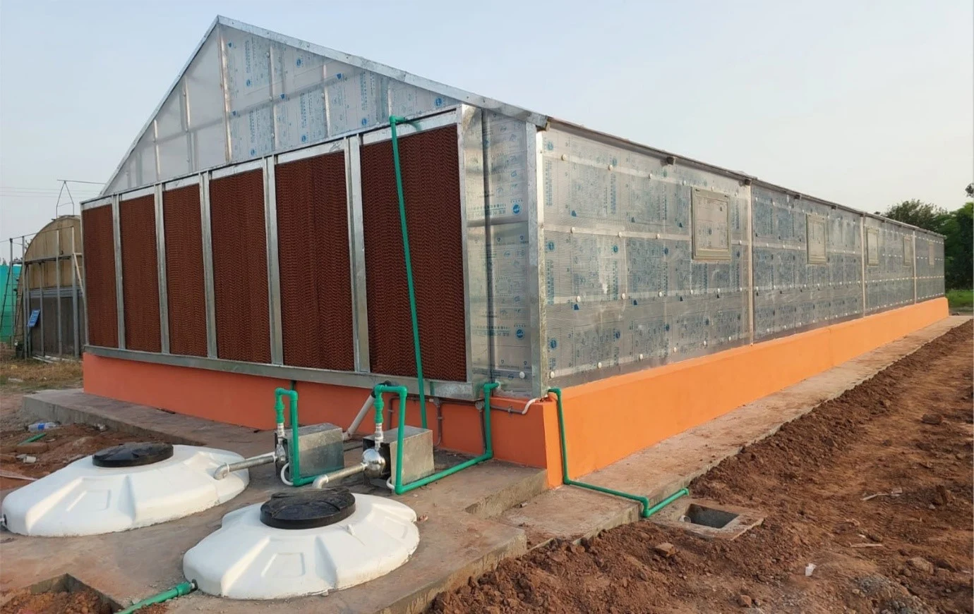 Greenhouse 2