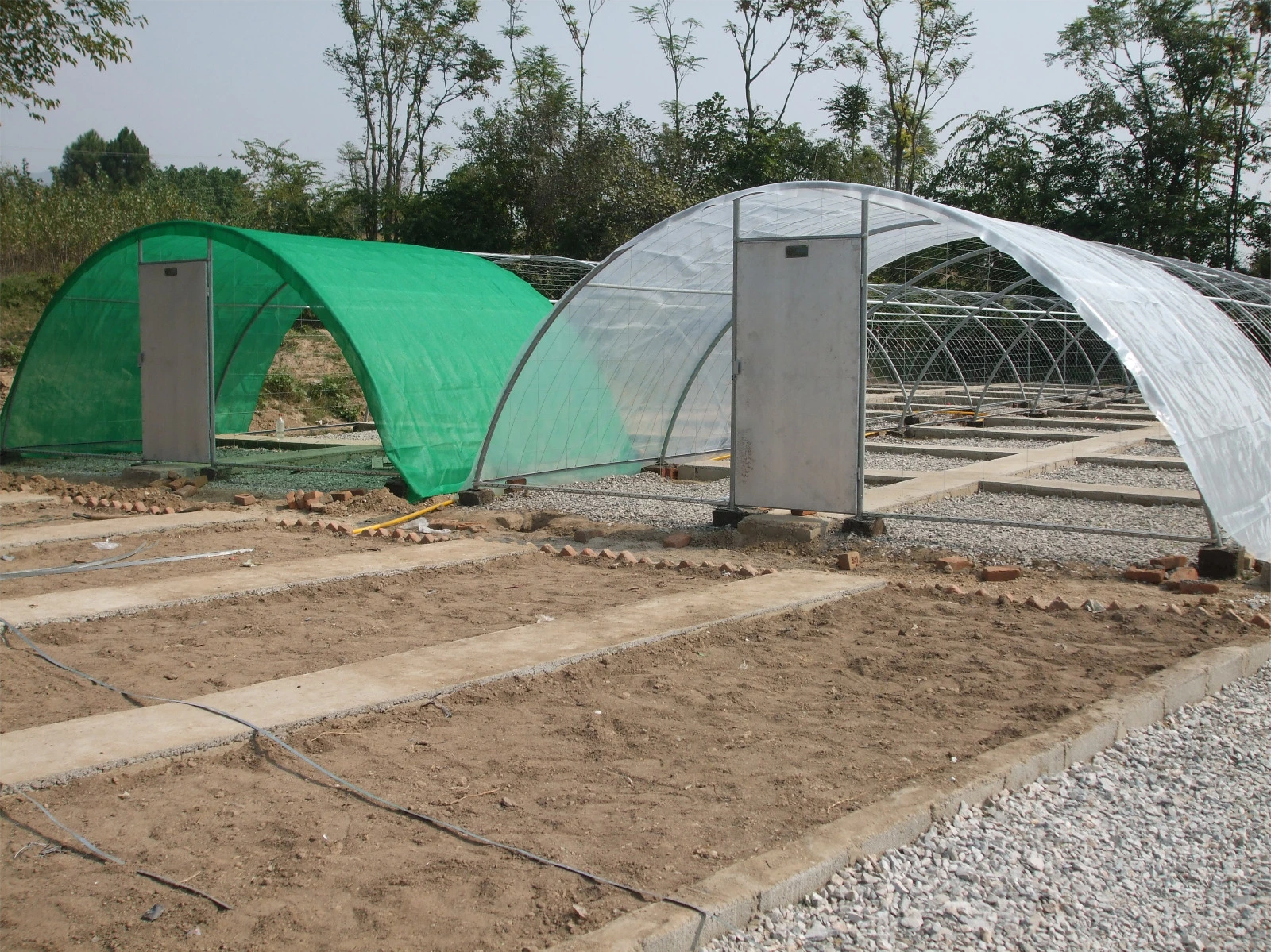 Polyethene Greenhouse 2