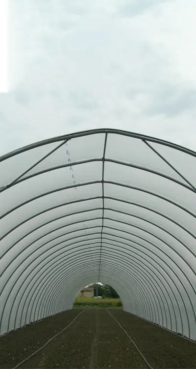 Polyethene Greenhouse 5