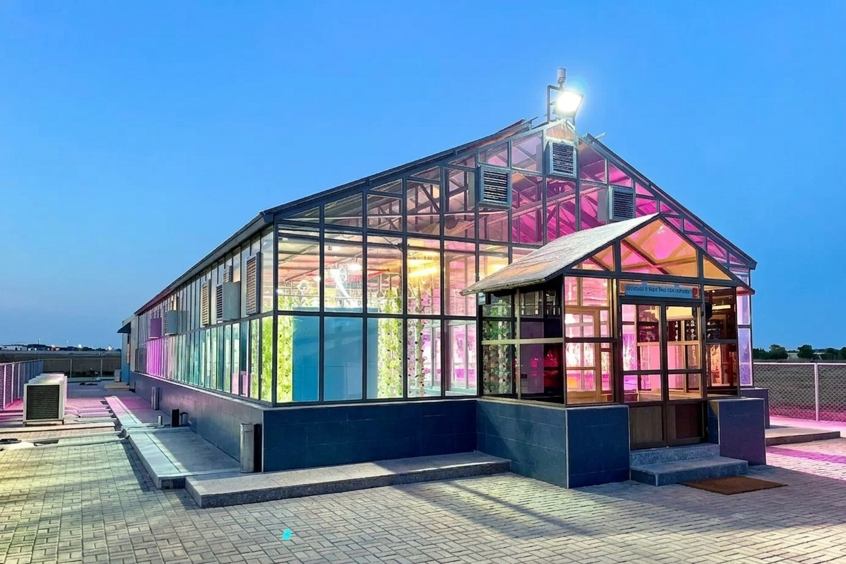 Mini Greenhouse