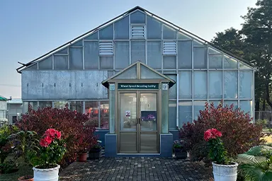 Image 13