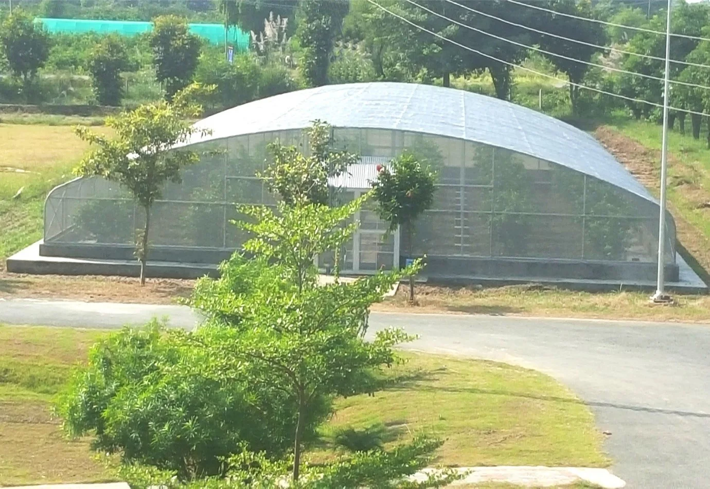 Screen House