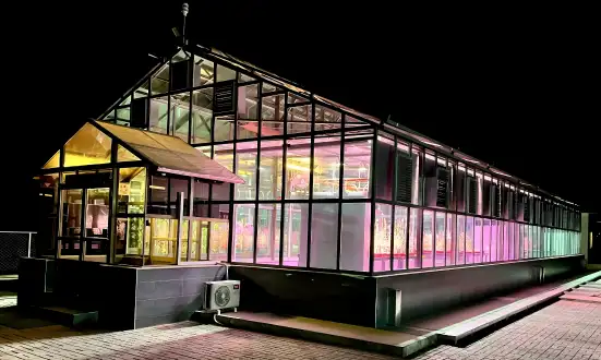 Intelligent & IoT-Enabled Greenhouse